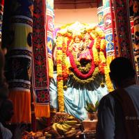 20101119_Photo_1299_IMG_8413 - Copy_CMP_WM